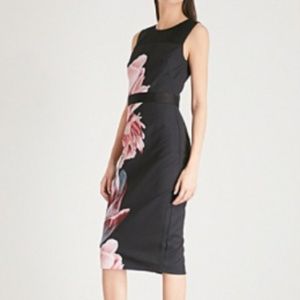Ted Baker Xanadu Tranquility Sheer Dress
